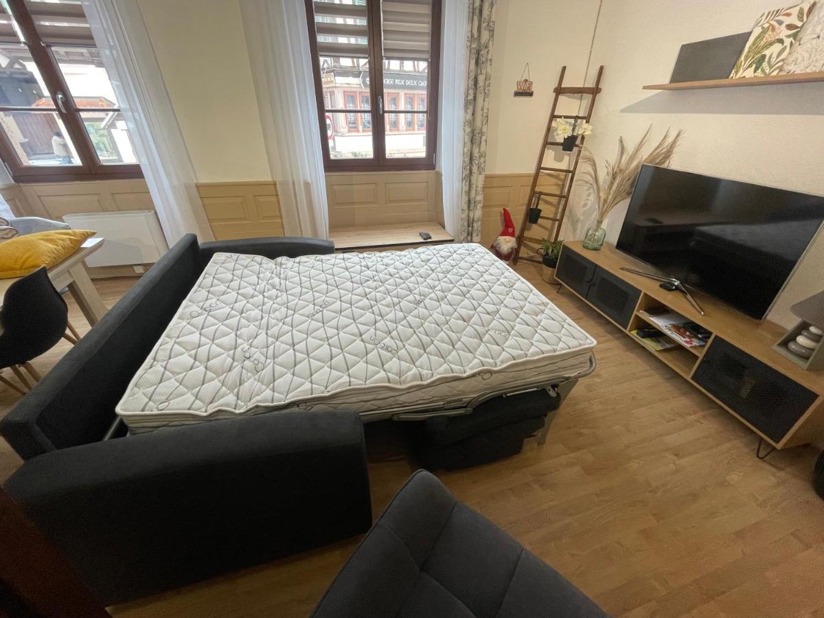 Gite A L'Aigle De Sable Kintzheim Exteriör bild