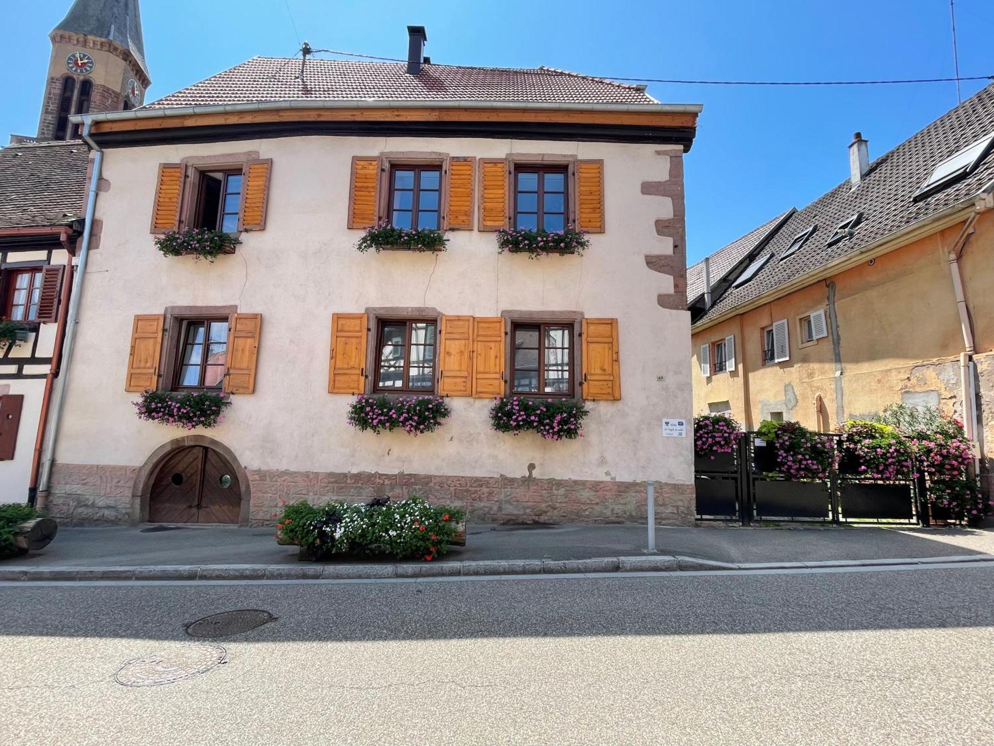 Gite A L'Aigle De Sable Kintzheim Exteriör bild